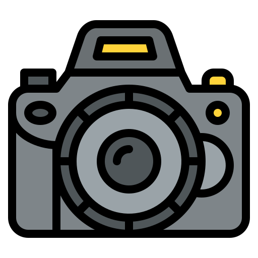 Digital SLR Cameras